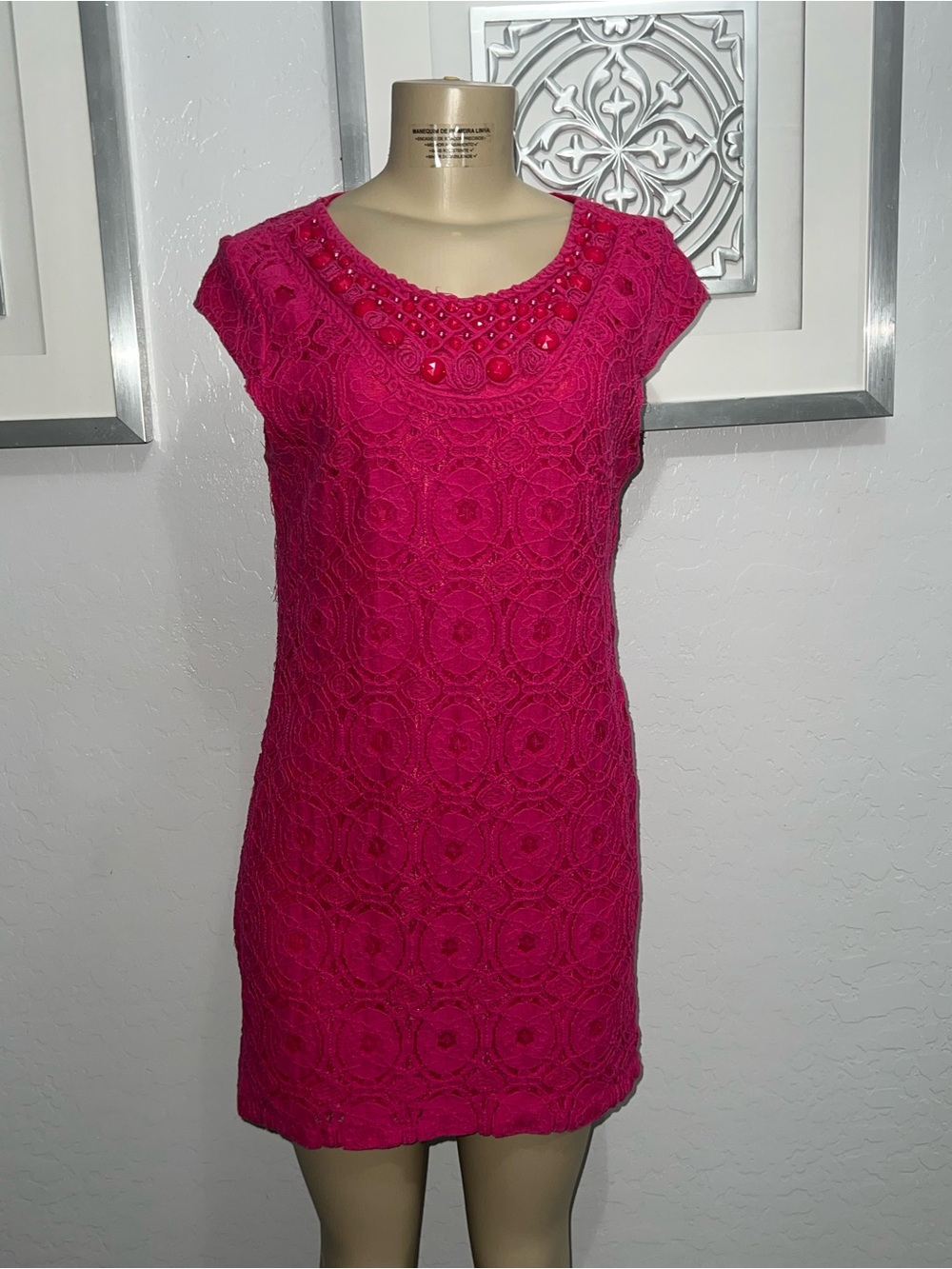 Sandra Darren Fuchsia Lace Beaded Shift Dress